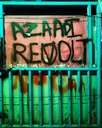 shaheen bagh grafitti azaadi.webp