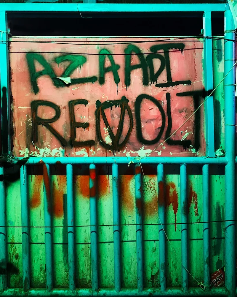 shaheen bagh grafitti azaadi.webp